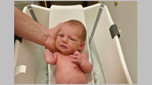 2024 Armand vannis.jpeg